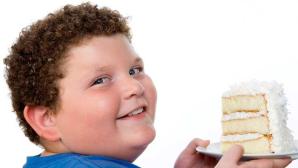 La importancia de la formación en dietética para no tener niños obesos