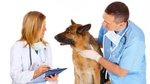 Cursos para hacer después del verano