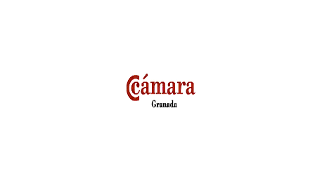 MBA - Master in Business Administration Executive - Granada