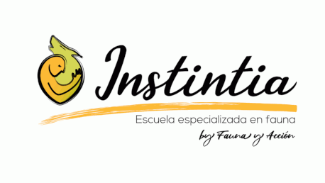 Instintia by Fauna y Acción