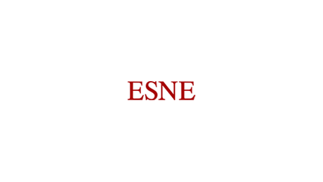 ESNE, Estudios Superiores Internacionales