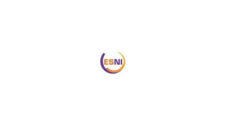 ESNI - Estudios Superiores en Negocios Internacionales