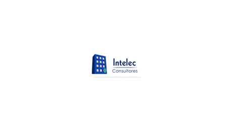 Intelec Consultores