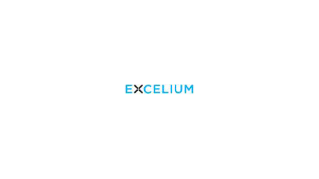 Excelium Training Online