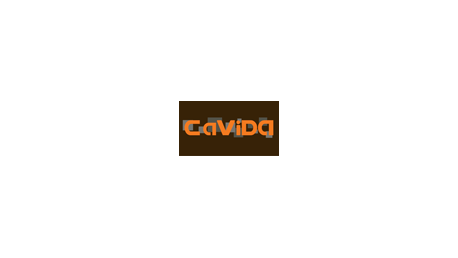 Curso Superior de Savia Amadeus Vista