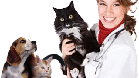 Curso Auxiliar de Clínica Veterinaria