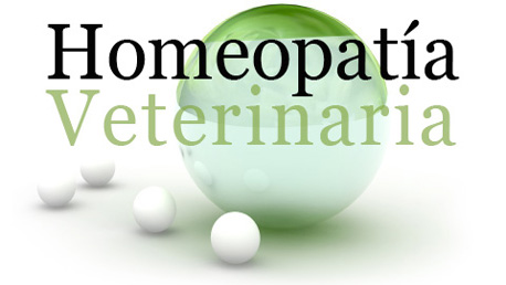 Curso Técnico Homeopatía Veterinaria Aplicada