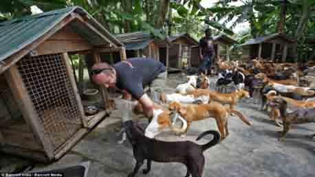 Curso Director de Protectora de Animales - DPA