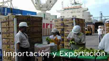 Curso Exportación e Importación de Productos Agrícolas