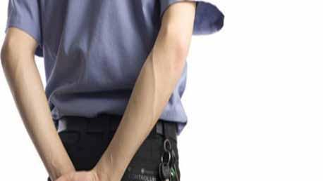 Curso Servicio de Vigilancia del Patrimonio Histórico y Artístico