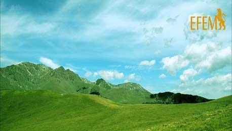 Máster en Gestión de Calidad, Medio Ambiente, Control de Procesos y PRL