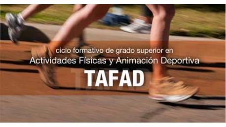 Curso Técnico Superior en Animación de Actividades Físicas y Deportivas (TAFAD)