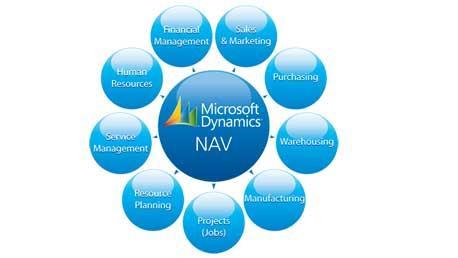 Master Microsoft Dynamics NAV ERP