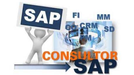 Curso SAP R/3: SAP Funcional - Usuario