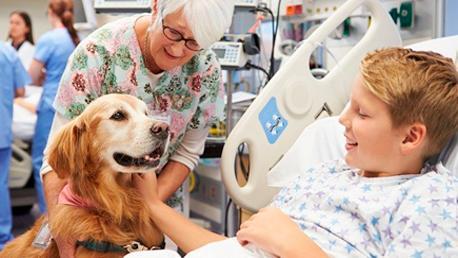 Curso Monitor en Terapia Asistida con Perros y Caballos