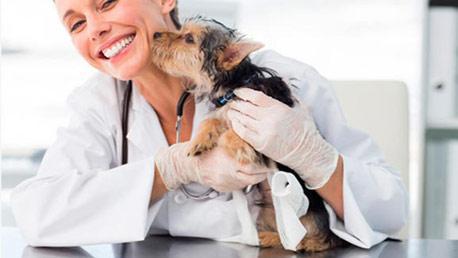 Curso de Ayudante Técnico Veterinario