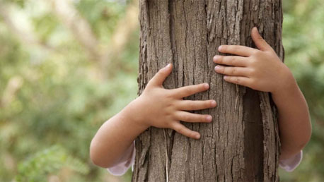 Experto Universitario en Educación Ambiental