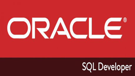 Master Certificación Oracle 11g-Java Online Combinado Online