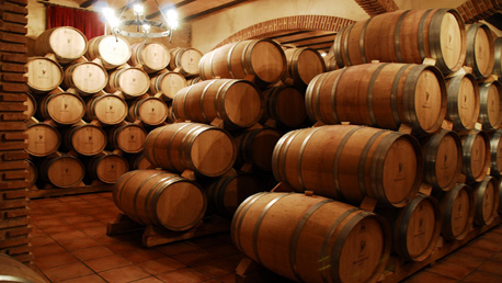 Master Dirección y Gestión de Bodegas