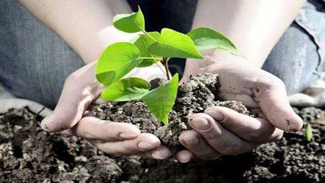 Master Gestión y Auditoría Medioambiental