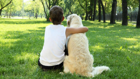 Curso Técnico en Intervención Asistida con Animales