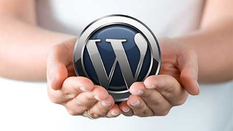 Curso Wordpress