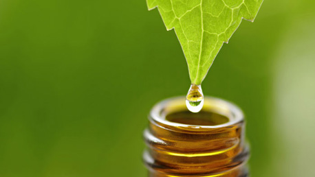 Curso Técnico en Naturopatía