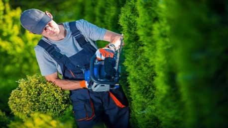 Curso Técnico en Jardinería