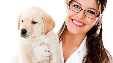 Curso Auxiliar de Clínica Veterinaria