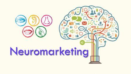 Curso Experto en Marketing y Neuromarketing