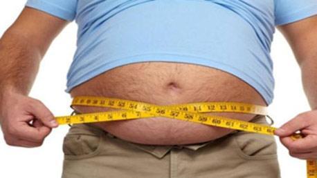 Master en Nutrición y Dietética Experto en Obesidad y Sobrepeso